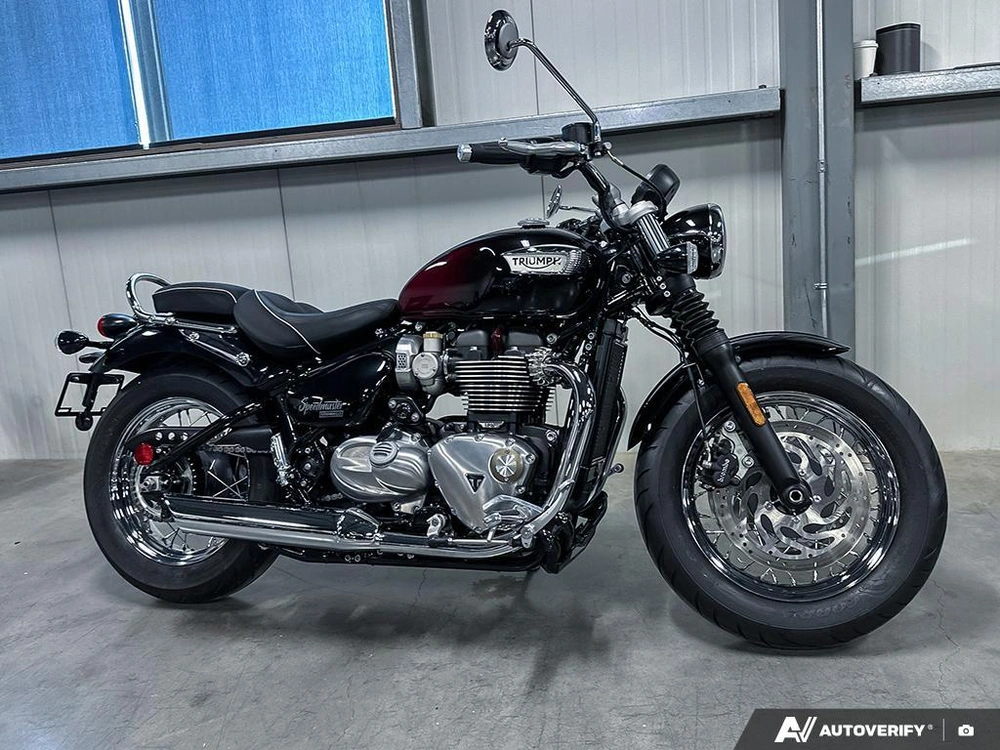 2024 Triumph 1200 Stealth alt
