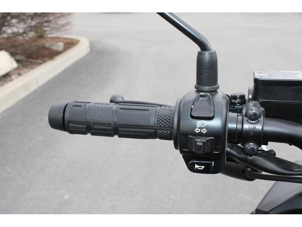 2024 Yamaha Zuma 125 alt