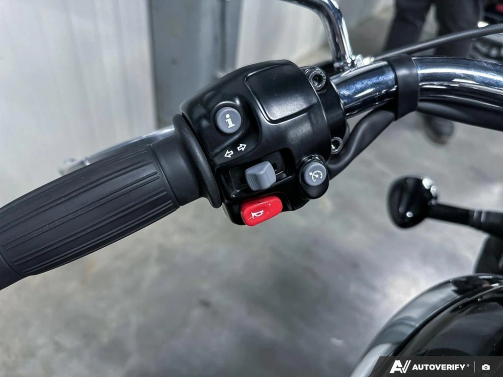 2024 Triumph 1200 Stealth alt