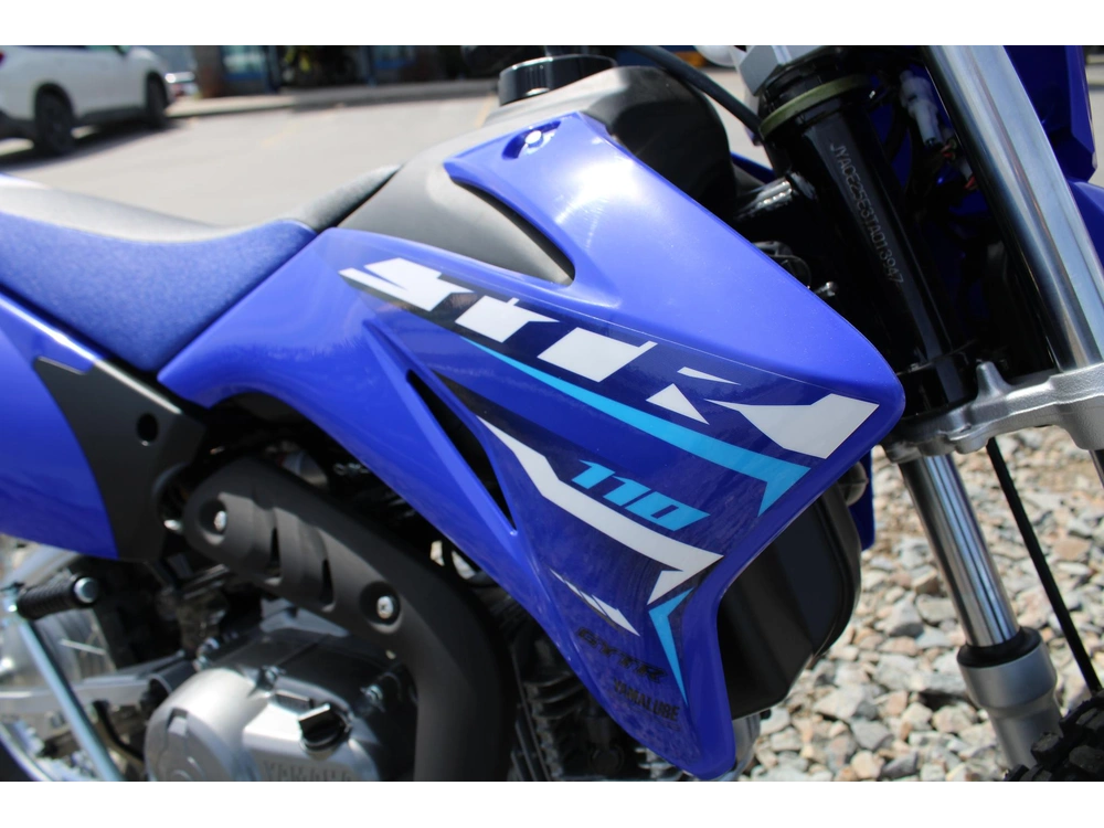 2026 Yamaha Tt-r110e alt