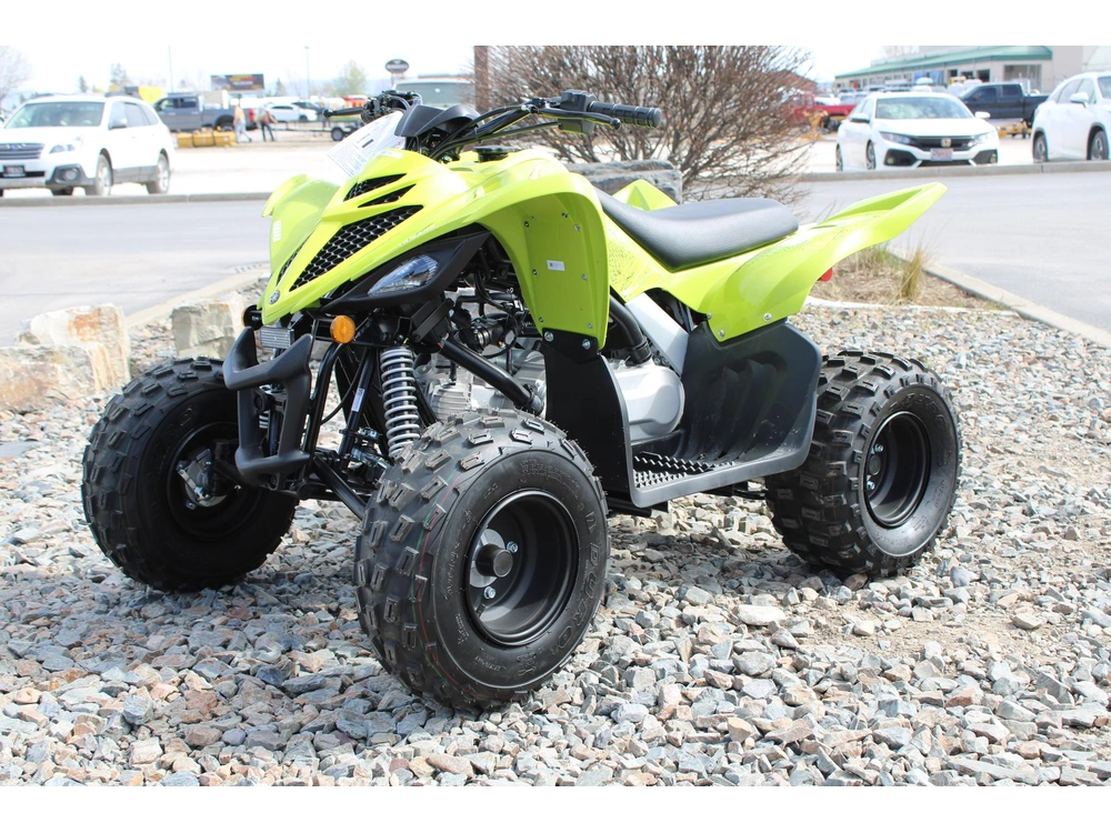 2026 Yamaha Raptor 110 alt