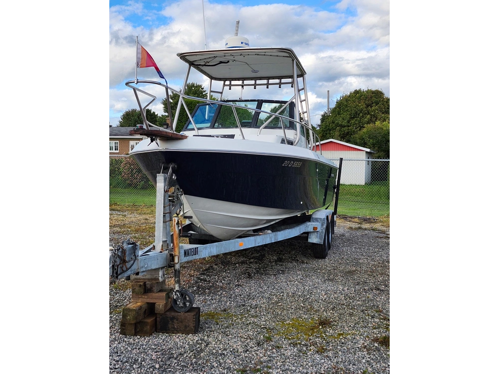Chaparral 234 Fisherman 1989 alt