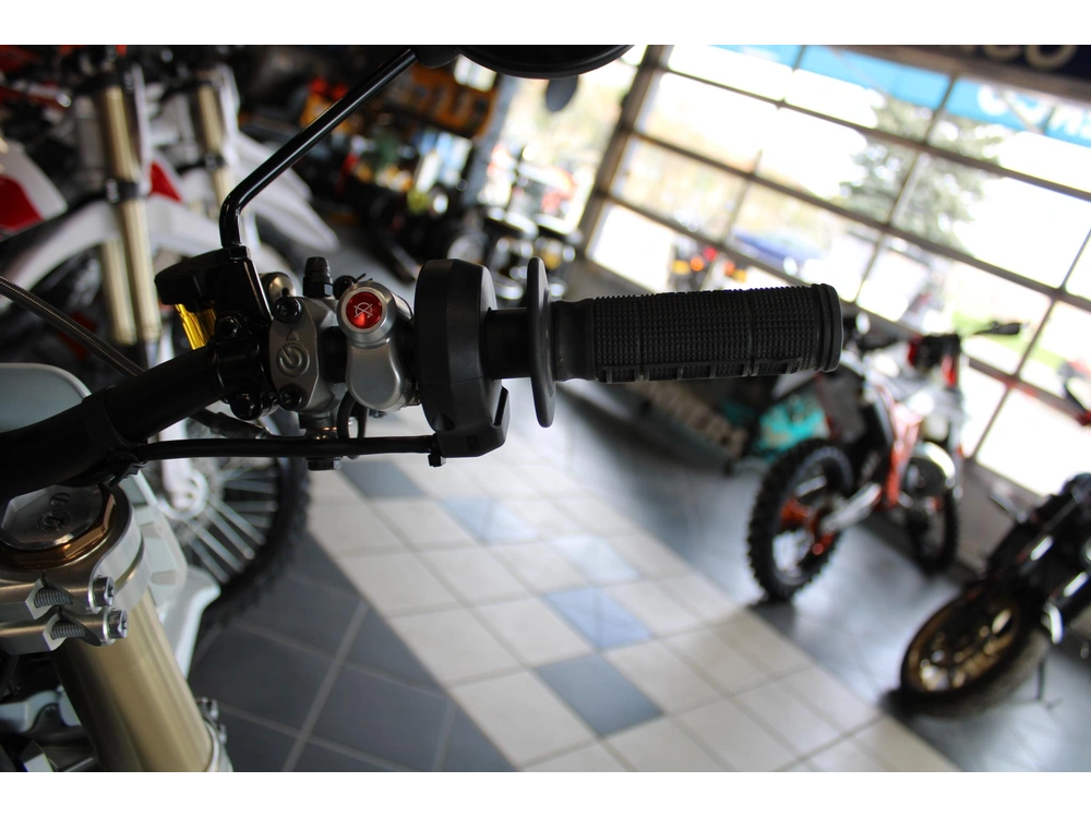 2026 Stark Future Varg Ex 80 Hp alt