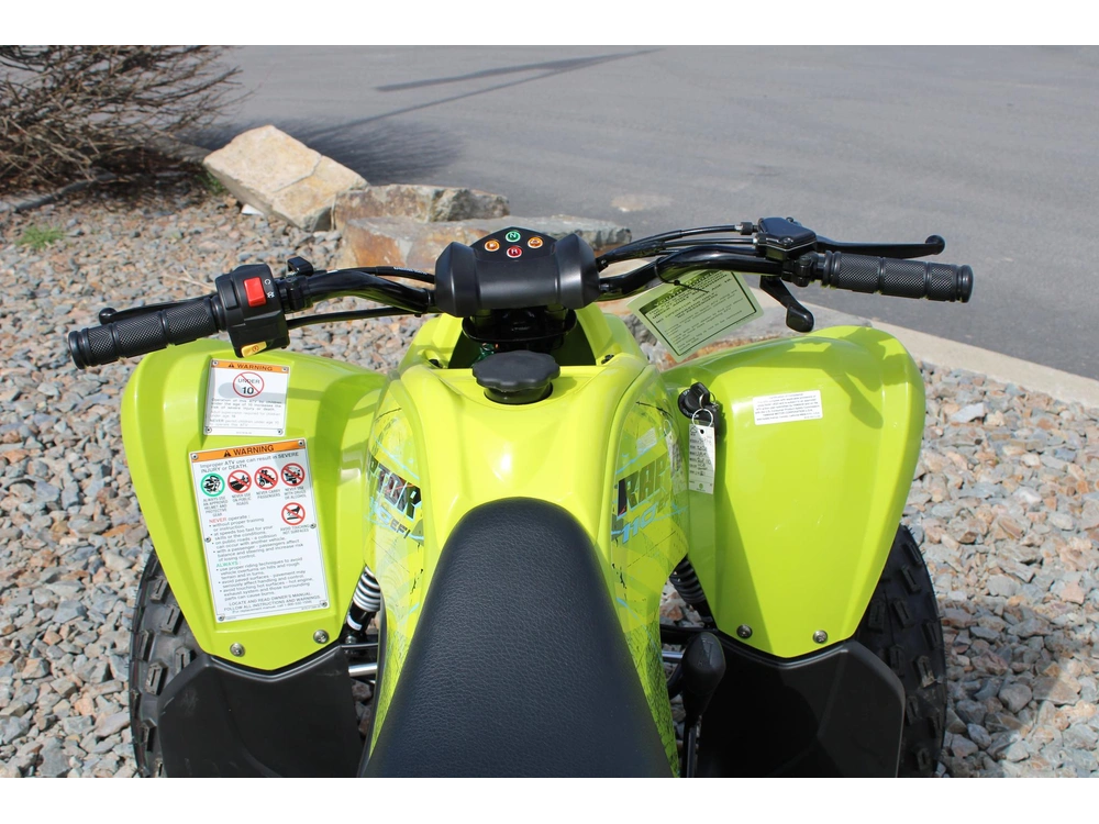 2026 Yamaha Raptor 110 alt