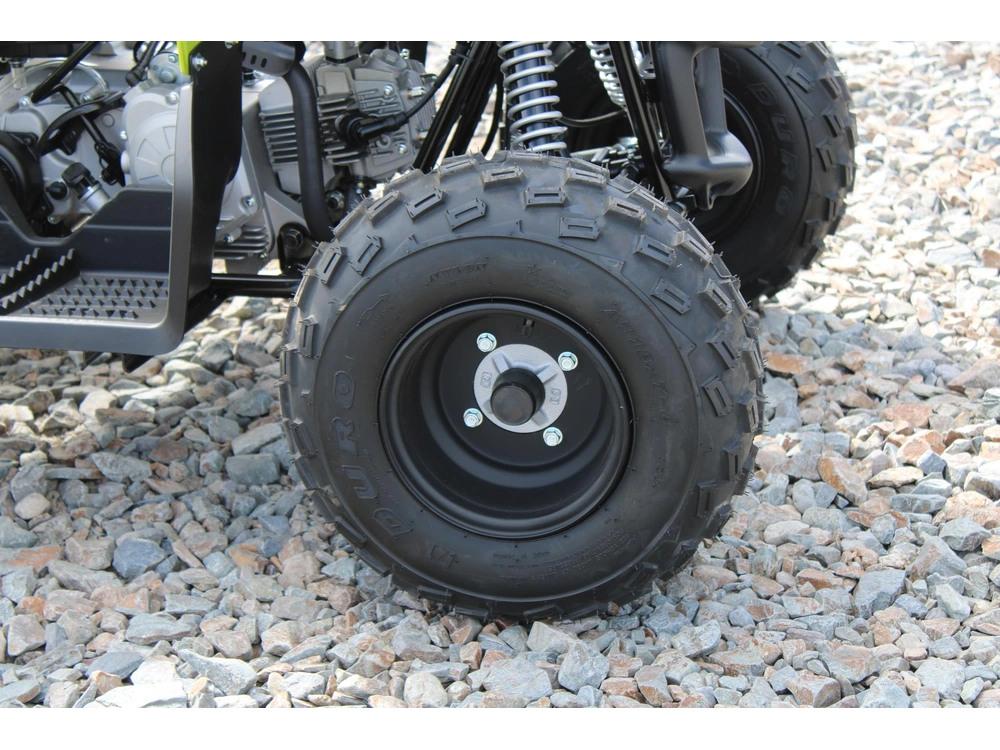2026 Yamaha Raptor 110 alt