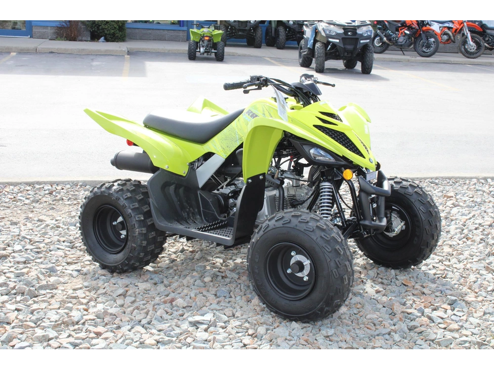 2026 Yamaha Raptor 110 alt