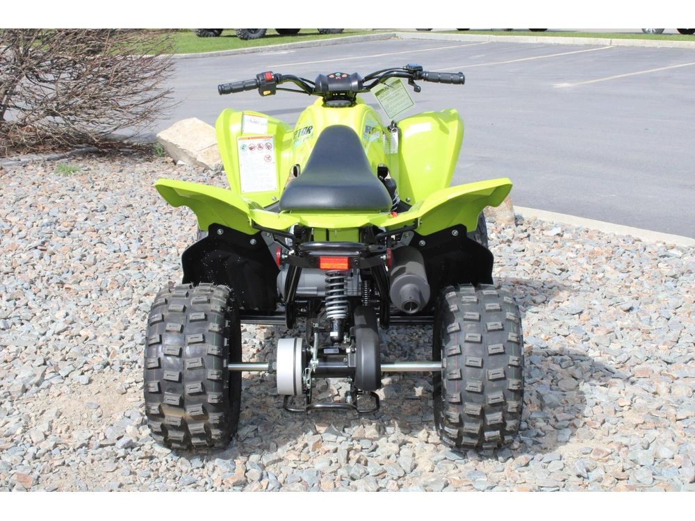 2026 Yamaha Raptor 110 alt