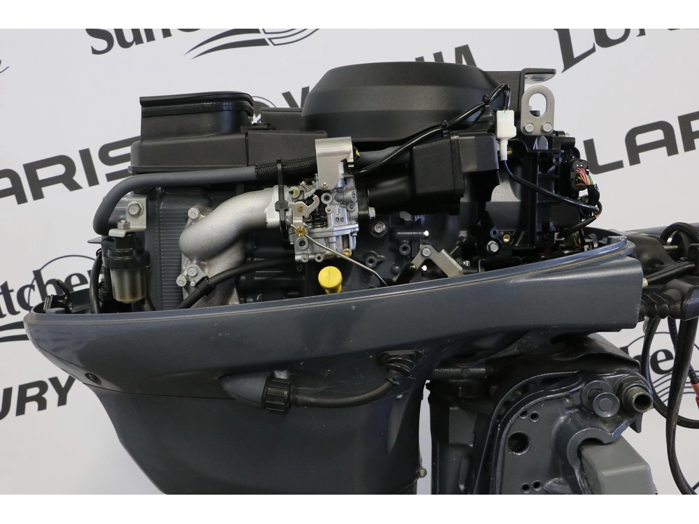 Yamaha F25lehb 2016 alt