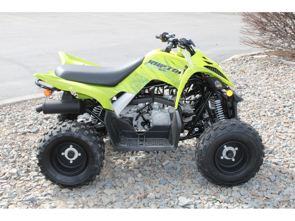 2026 Yamaha Raptor 110 alt