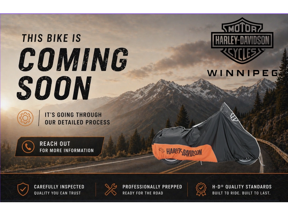 2023 Harley-davidson Road Glide alt