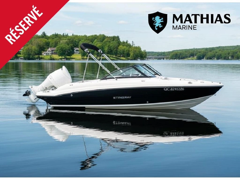 Stingray 191 Dc 2022 alt