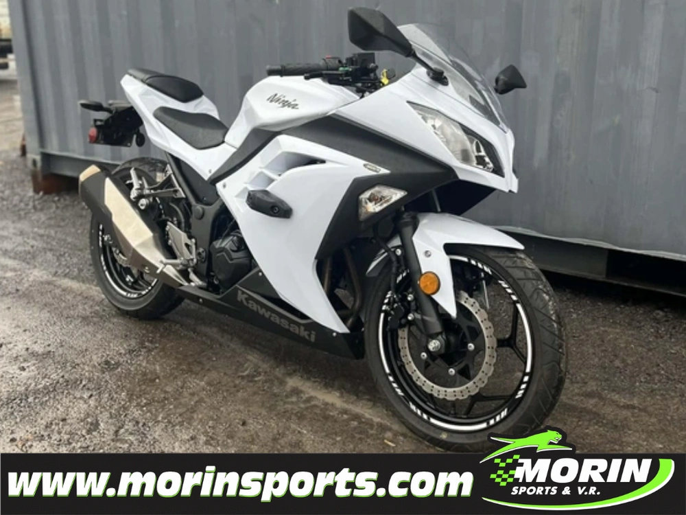 Kawasaki Ninja 300 2014 alt