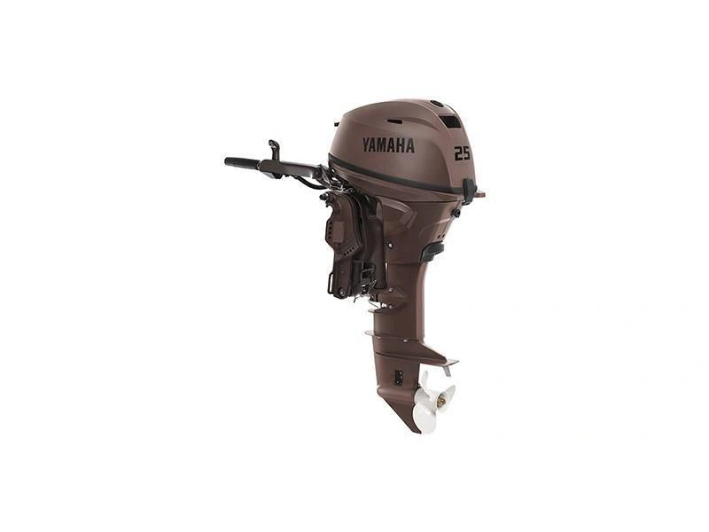 2025 Yamaha F25swhc3 alt