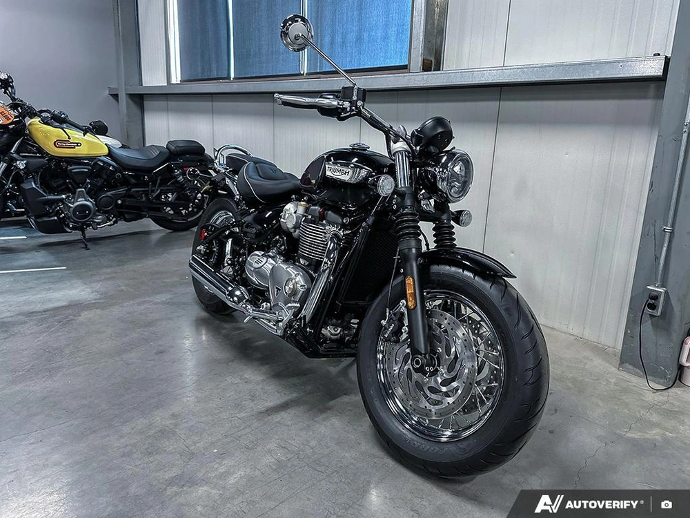 2024 Triumph 1200 Stealth alt