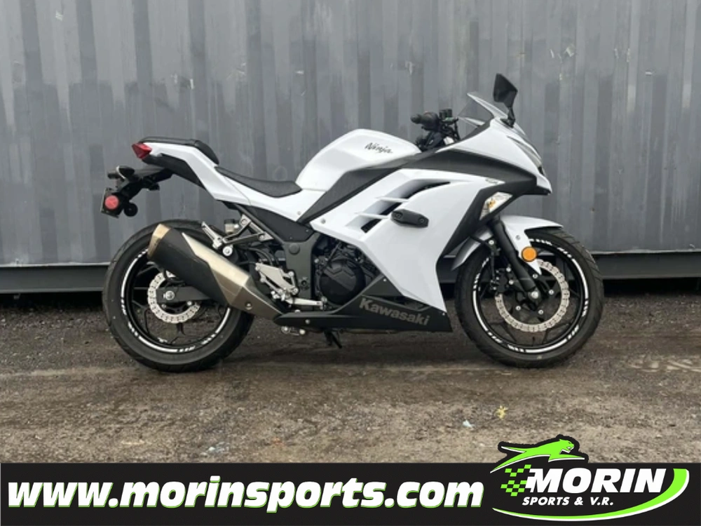 Kawasaki Ninja 300 2014 alt