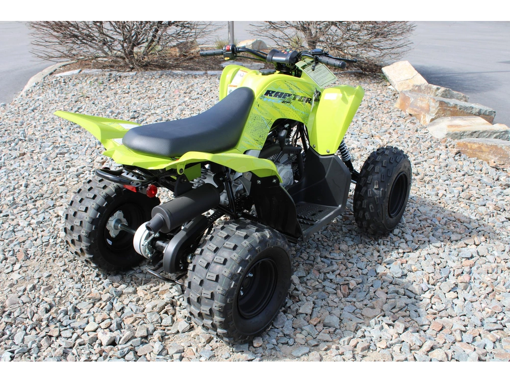 2026 Yamaha Raptor 110 alt
