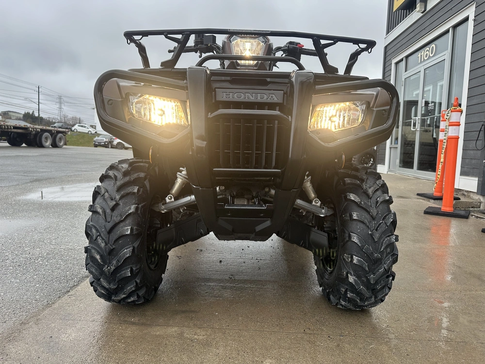 2021 Honda Rubicon Eps Trx520 alt