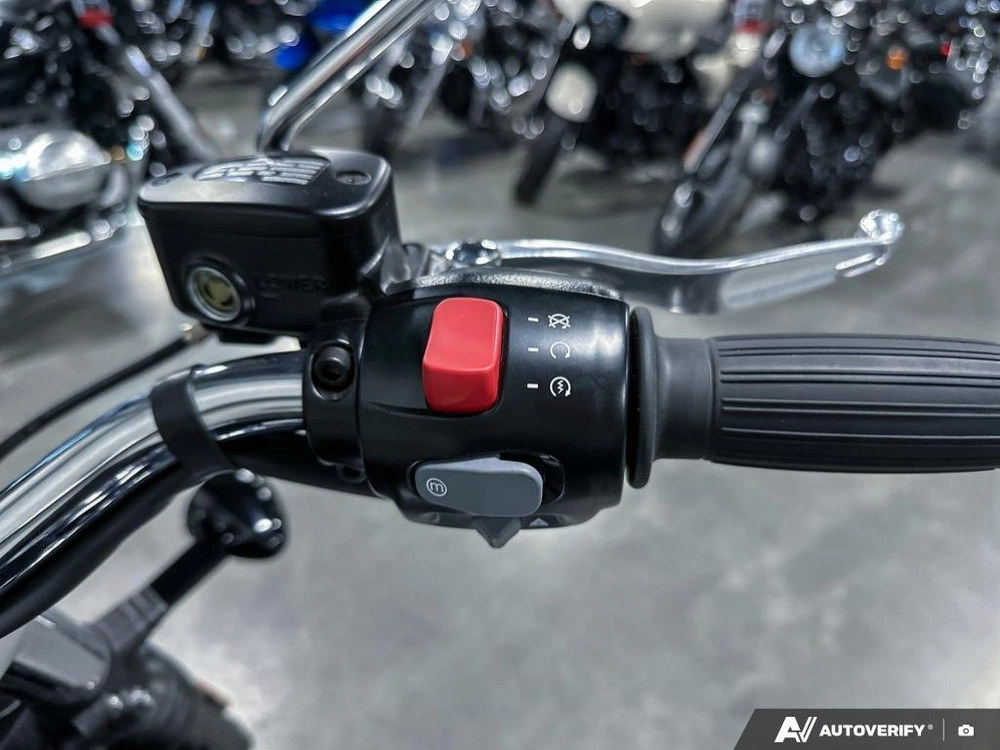 2024 Triumph 1200 Stealth alt