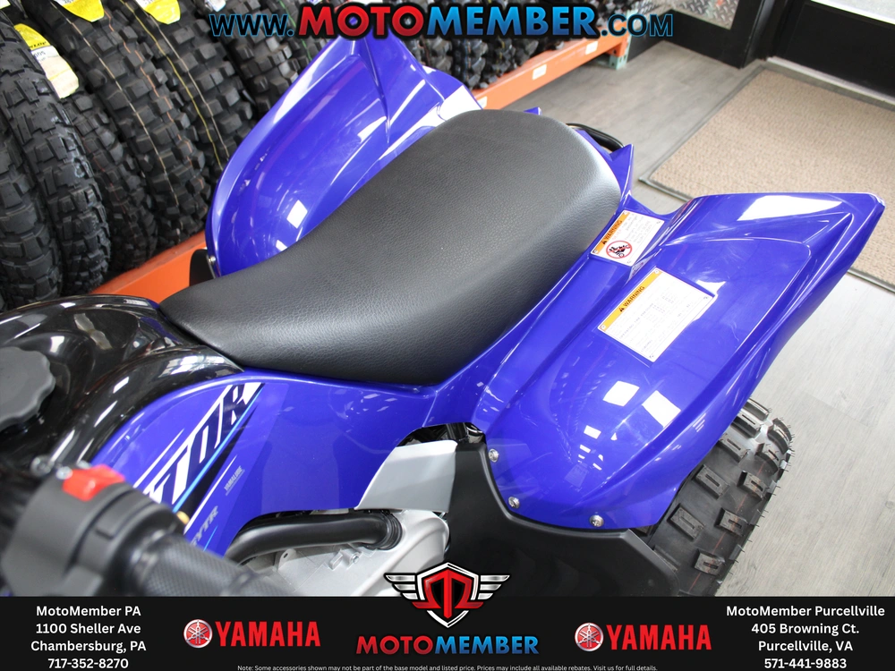 2026 Yamaha Raptor 110 alt