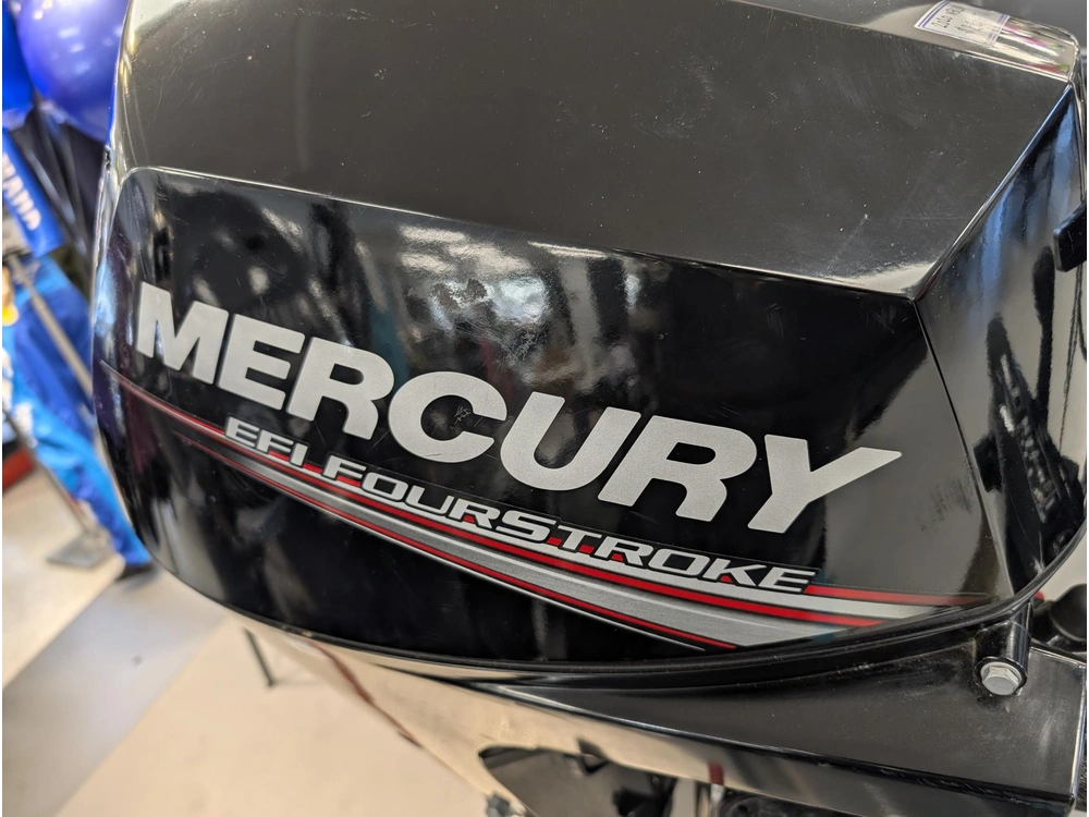 2020 Mercury F15mlh alt