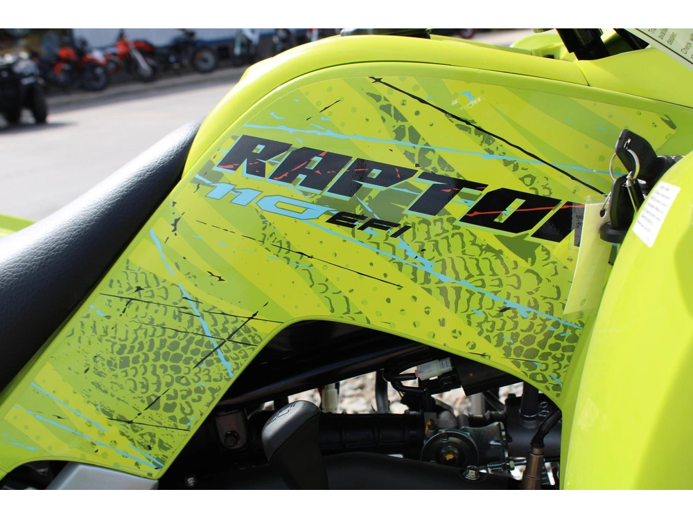 2026 Yamaha Raptor 110 alt