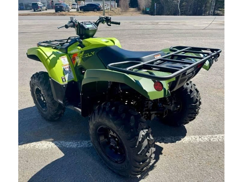 Yamaha Grizzly Dae 2026 alt