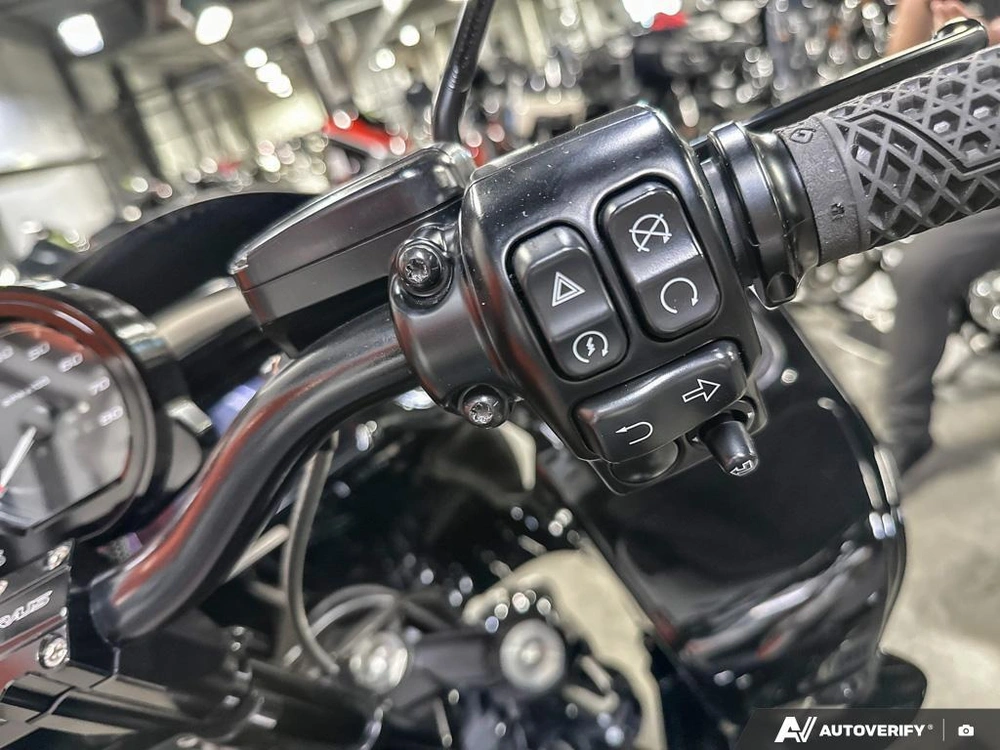 2023 Harley-davidson Road Glide St alt