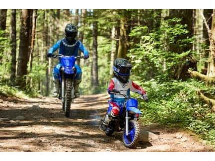 Yamaha Pw50 2026 alt