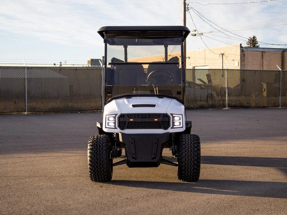 2025 Buzz G4 Lifted alt