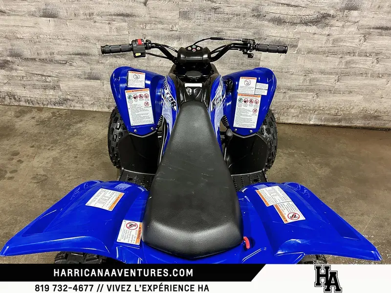2026 Yamaha RAPTOR 110