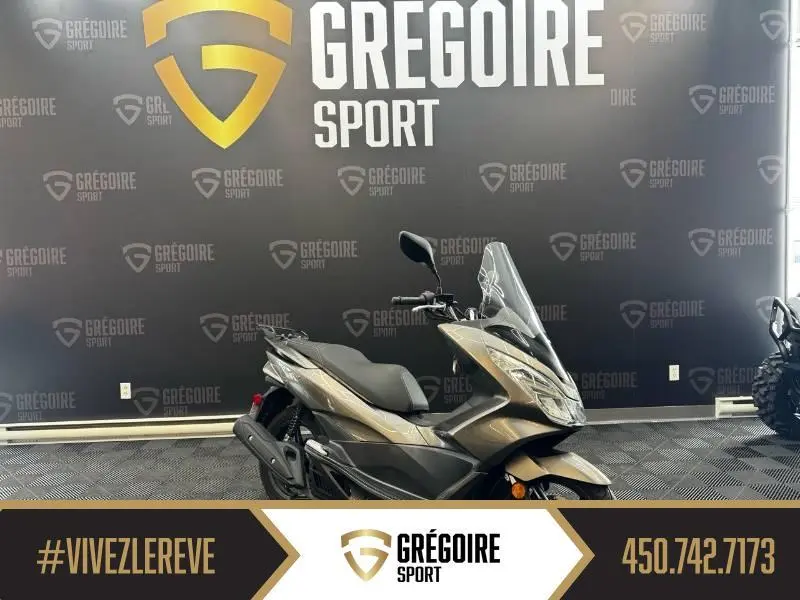 2015 Honda PCX 150