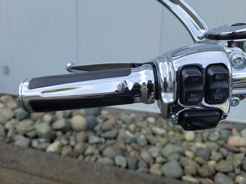 2014 Harley-davidson Flstnse - Cvo™ Softail Deluxe alt
