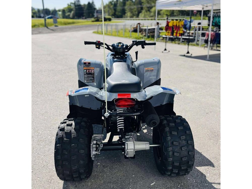 Polaris Phoenix 200 A26ypa20a4 2026 alt