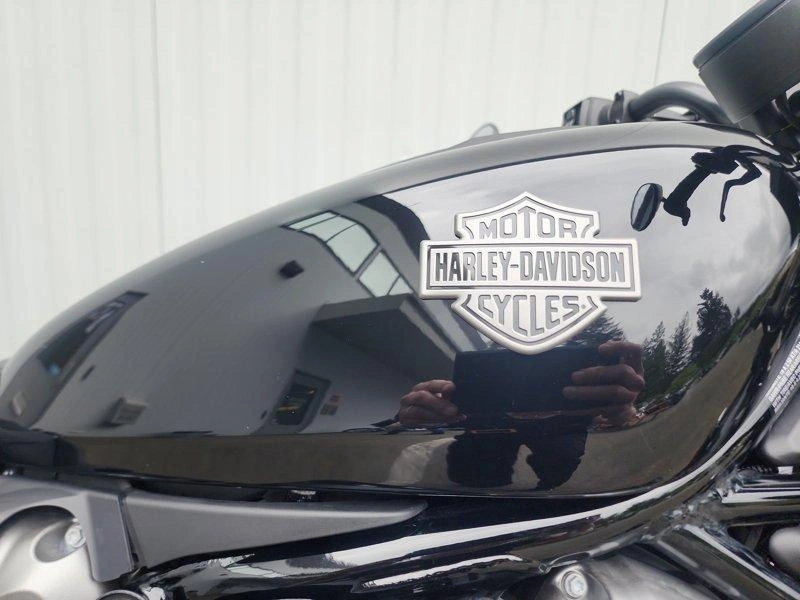 2024 Harley-davidson Rh975 - Nightster™ alt