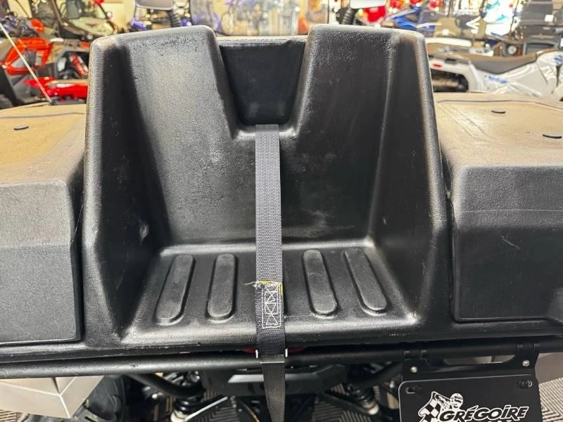 Yamaha Grizzly Eps Se 2024 alt