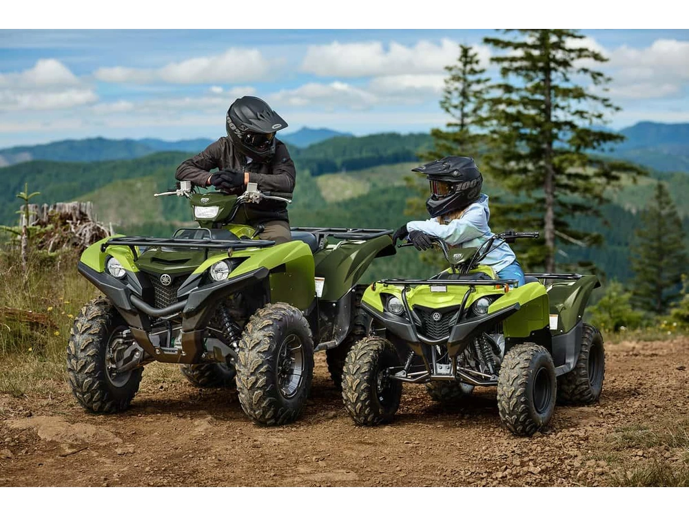 Yamaha Grizzly 110 2026 alt