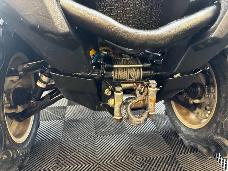 Yamaha Grizzly Eps Se 2024 alt