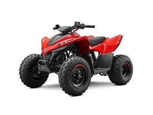 Cfmoto Cforce 110 Classic 2026 alt