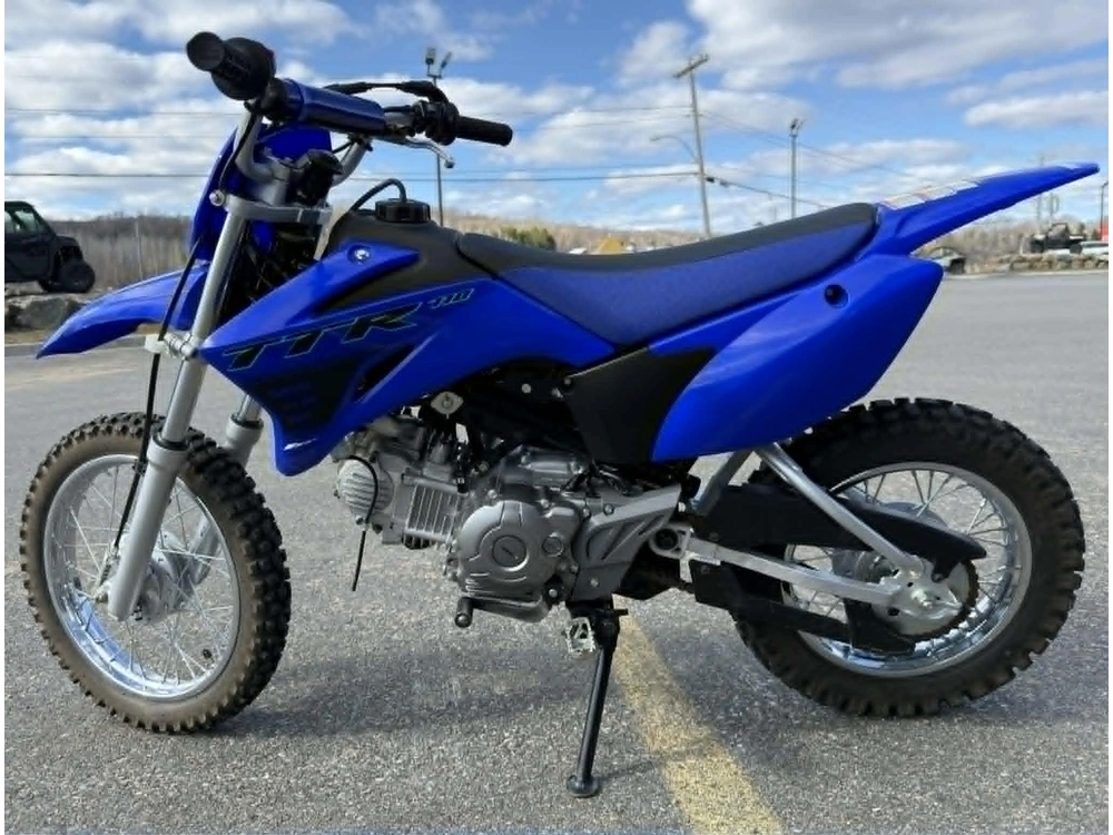 Yamaha Tt-r110e 2024 alt