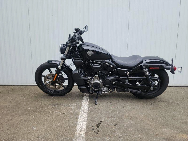 2024 Harley-davidson Rh975 - Nightster™ alt