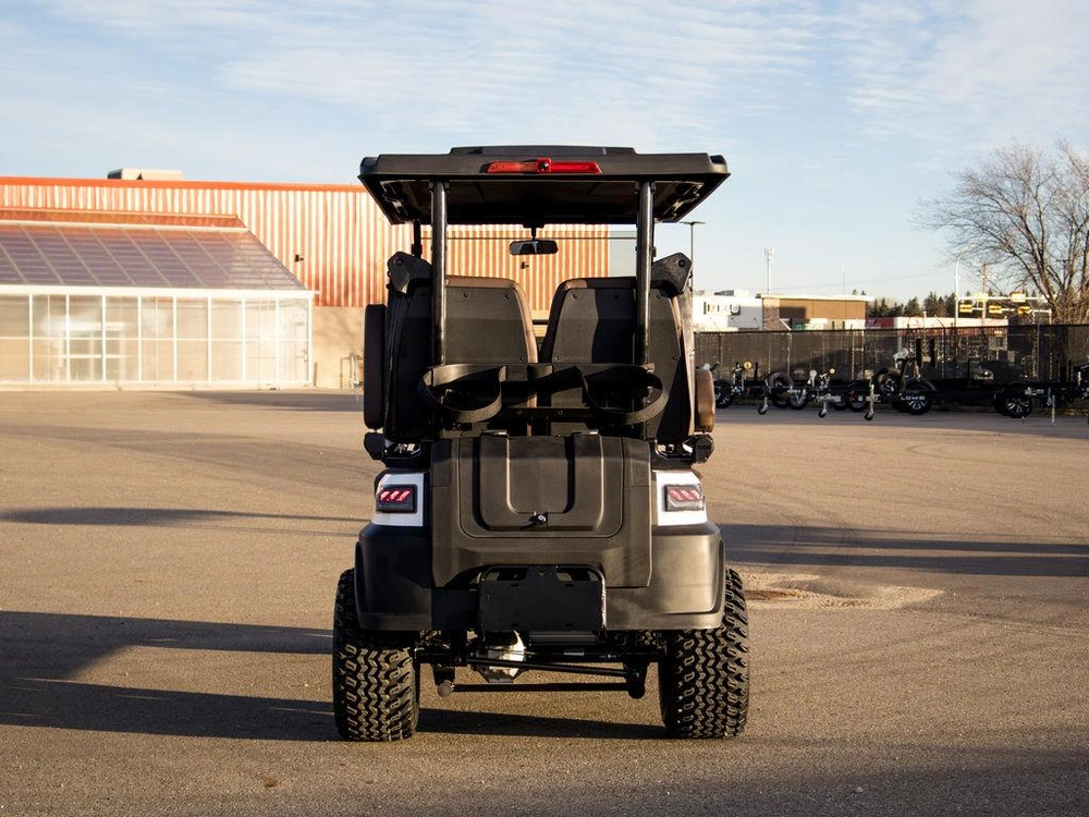 2025 Buzz G4 Lifted alt