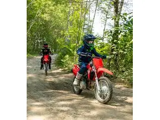 2026 Honda CRF110F thumbnail 5