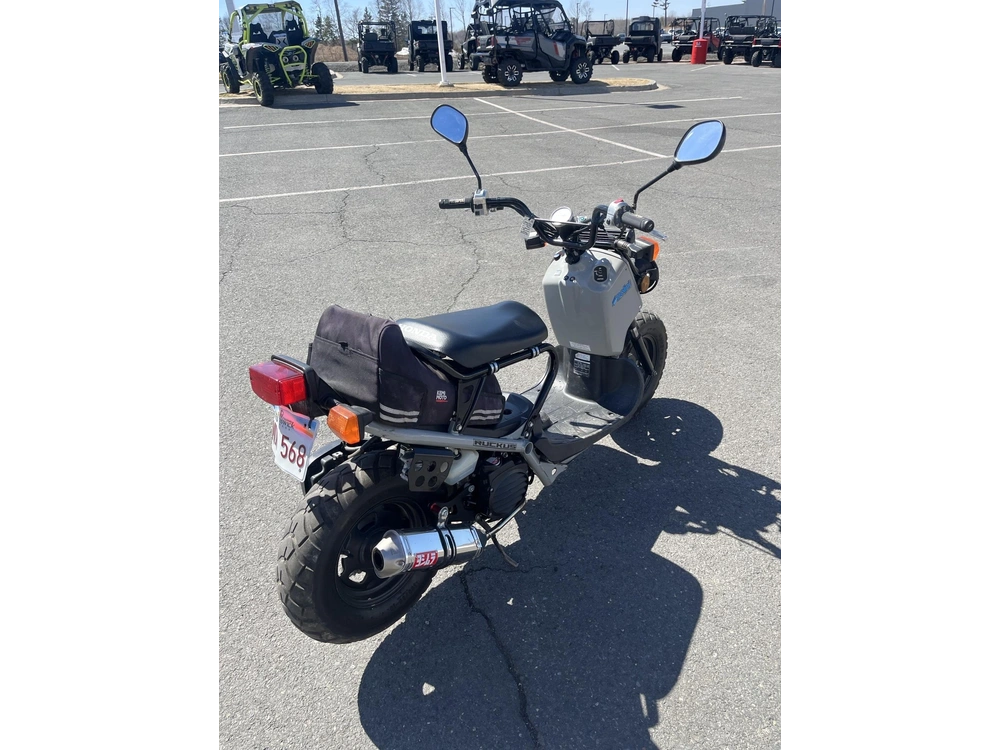 Honda Ruckus 2022 alt