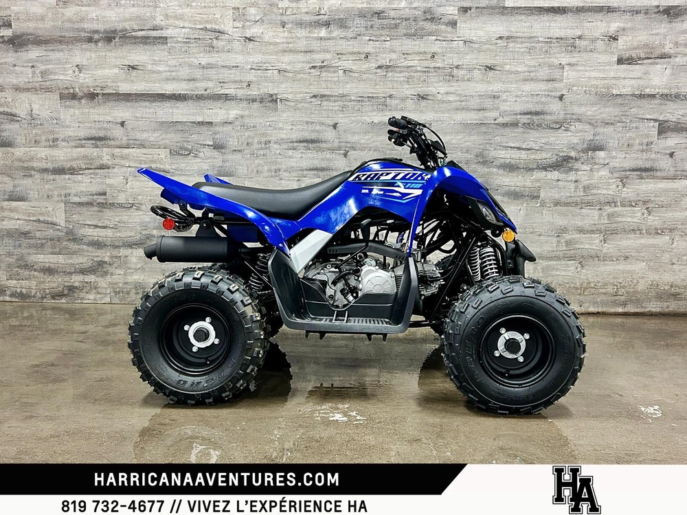 2026 Yamaha Raptor 110 alt