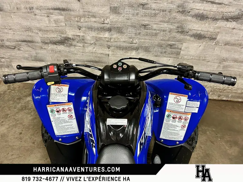 Yamaha RAPTOR 110 2026