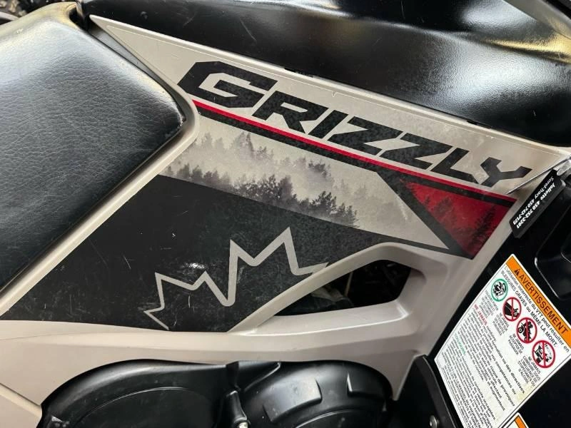 Yamaha Grizzly Eps Se 2024 alt