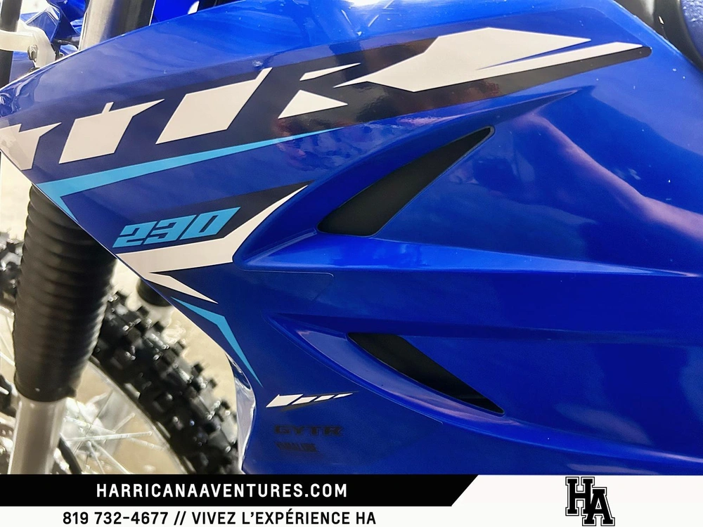 Yamaha Tt-r230 2026 alt