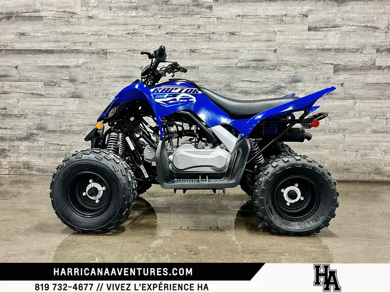 Yamaha RAPTOR 110 2026