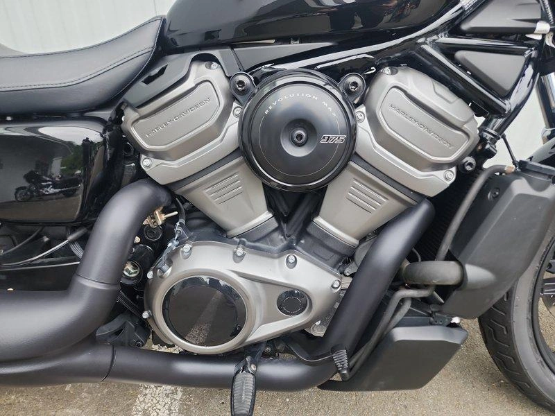 2024 Harley-davidson Rh975 - Nightster™ alt