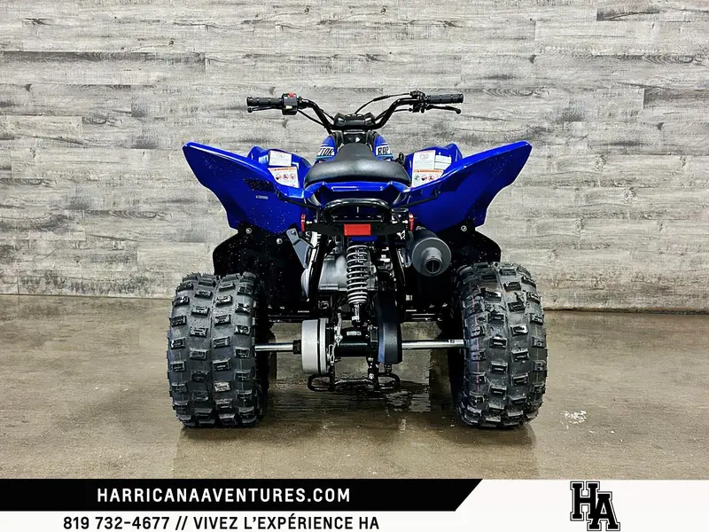 2026 Yamaha RAPTOR 110